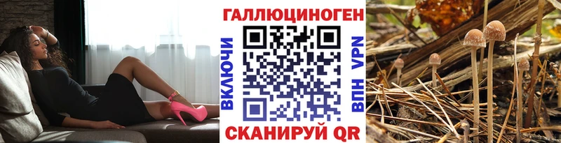 Псилоцибиновые грибы ЛСД  где можно купить   Кадников 