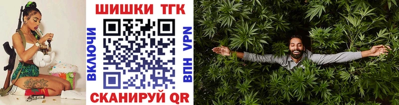 купить закладку Кадников мега Бошки Шишки сатива